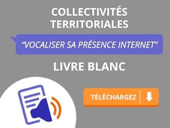 Télécharger livre blanc Vocaliser sa présence internet